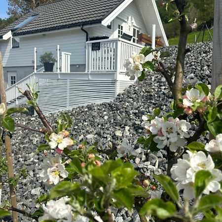 Fjord Road Apartment Hjelmeland Luaran gambar